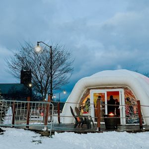 Rink Side Igloo Inn